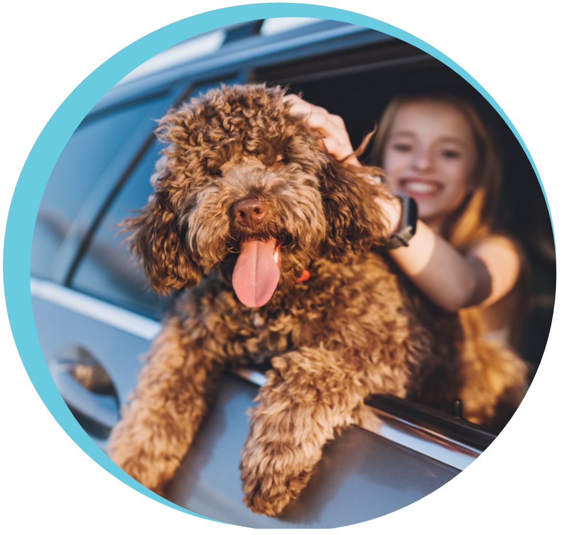 Dog Days: Wag-Worthy Fun in WalCo