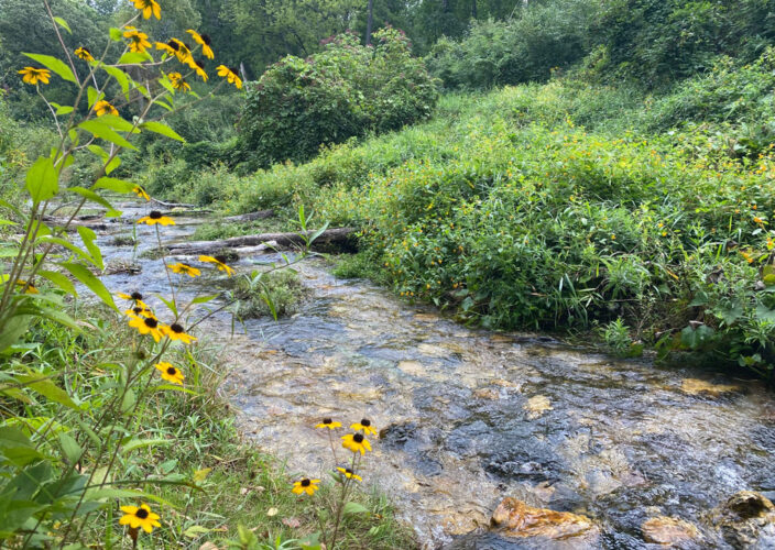 Best of Spring in WalCo